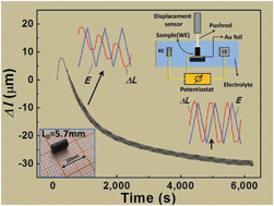 Graphical abstract: Hierarchically nanoporous nickel-based actuators with giant reversible strain and ultrahigh work density