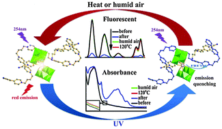 Graphical abstract: A durable and fast-responsive photochromic and switchable luminescent polyviologen–polyoxometalate hybrid