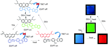 Graphical abstract: Tunable RGB luminescence of a single molecule with high quantum yields through a rational design