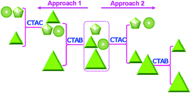 Graphical abstract: A two-step approach to realize size- and shape-selective separation of crude gold nanotriangles with high purification