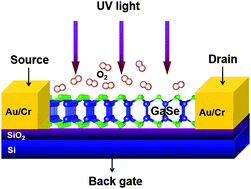 Graphical abstract: Highly efficient gas molecule-tunable few-layer GaSe phototransistors