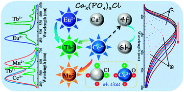 Graphical abstract: Photoluminescence tuning of Ca5(PO4)3Cl:Ce3+/Eu2+,Tb3+/Mn2+ phosphors: structure refinement, site occupancy, energy transfer and thermal stability