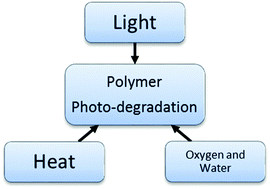 Graphical abstract: Photostability in dioxyheterocycle electrochromic polymers
