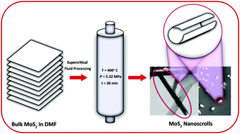 Graphical abstract: Rapid, one-pot synthesis of luminescent MoS2 nanoscrolls using supercritical fluid processing