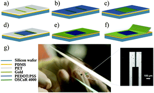 Graphical abstract: Water stability and orthogonal patterning of flexible micro-electrochemical transistors on plastic
