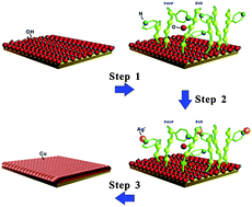 Graphical abstract: A facile way of fabricating a flexible and conductive cotton fabric