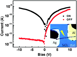 Graphical abstract: Organic photodiodes constructed from a single radial heterojunction microwire