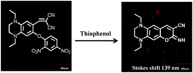 Graphical abstract: A red emitting fluorescent probe for instantaneous sensing of thiophenol in both aqueous medium and living cells with a large Stokes shift