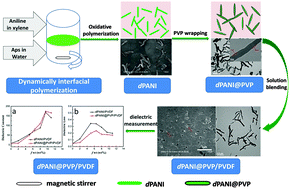 Graphical abstract: Improving the dielectric properties of poly(vinylidene fluoride) composites by using poly(vinyl pyrrolidone)-encapsulated polyaniline nanorods