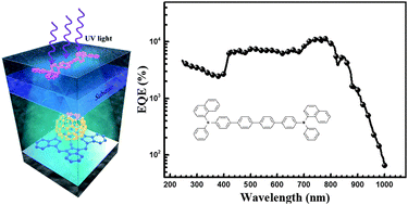 Graphical abstract: Deep ultraviolet-to-NIR broad spectral response organic photodetectors with large gain