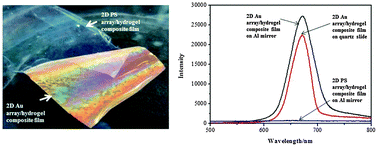 Graphical abstract: A functional hydrogel film attached with a 2D Au nanosphere array and its ultrahigh optical diffraction intensity as a visualized sensor