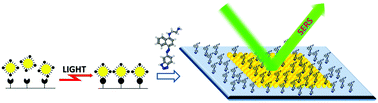 Graphical abstract: Design of broadband SERS substrates by the laser-induced aggregation of gold nanoparticles