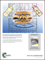 Graphical abstract: Back cover
