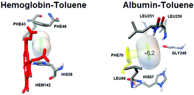 Graphical abstract: Identifying potential protein targets for toluene using a molecular similarity search, in silico docking and in vitro validation