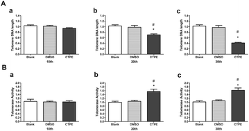 Graphical abstract: Changes in telomere length and telomerase activity in human bronchial epithelial cells induced by coal tar pitch extract