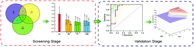 Graphical abstract: Screening and validation for plasma biomarkers of nephrotoxicity based on metabolomics in male rats