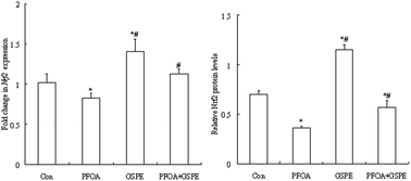Graphical abstract: Grape seed proanthocyanidin extract protects against perfluorooctanoic acid-induced hepatotoxicity by attenuating inflammatory response, oxidative stress and apoptosis in mice