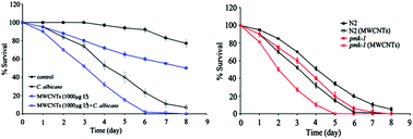 Graphical abstract: Multi-walled carbon nanotubes enhanced fungal colonization and suppressed innate immune response to fungal infection in nematodes