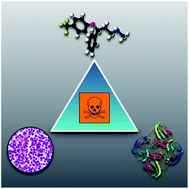 Graphical abstract: Improving the prediction of organism-level toxicity through integration of chemical, protein target and cytotoxicity qHTS data