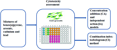 Graphical abstract: The binary, ternary and quaternary mixture toxicity of benzo[a]pyrene, arsenic, cadmium and lead in HepG2 cells