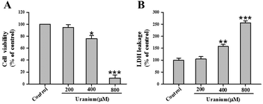 Graphical abstract: Uranium-induced rat kidney cell cytotoxicity is mediated by decreased endogenous hydrogen sulfide (H2S) generation involved in reduced Nrf2 levels