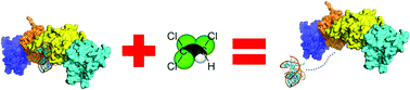 Graphical abstract: Epigenetic toxicity of trichloroethylene: a single-molecule perspective