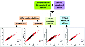 Graphical abstract: In silico prediction of the developmental toxicity of diverse organic chemicals in rodents for regulatory purposes