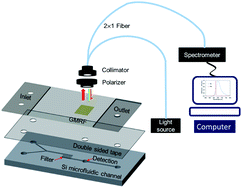 Graphical abstract: Integration of a guided-mode resonance filter with microposts for in-cell protein detection