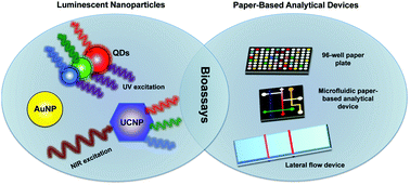 Graphical abstract: Paper-based biodetection using luminescent nanoparticles