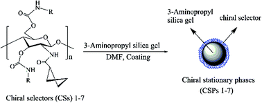 Graphical abstract: Synthesis of substituted phenylcarbamates of N-cyclobutylformylated chitosan and their application as chiral selectors in enantioseparation