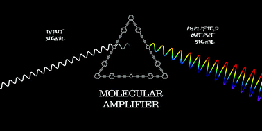 Graphical abstract: Approaches towards molecular amplification for sensing