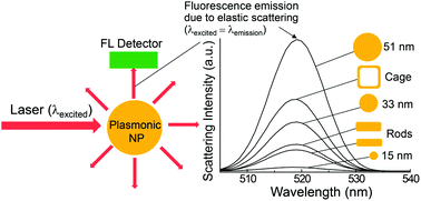 Graphical abstract: Use of fluorescence signals generated by elastic scattering under monochromatic incident light for determining the scattering efficiencies of various plasmonic nanoparticles