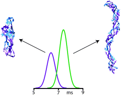 Graphical abstract: Modular calibrant sets for the structural analysis of nucleic acids by ion mobility spectrometry mass spectrometry