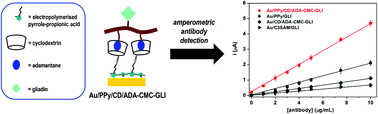 Graphical abstract: Supramolecular biosensors based on electropolymerised pyrrole–cyclodextrin modified surfaces for antibody detection