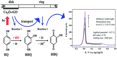 Graphical abstract: Photoelectrocatalytic analysis and electrocatalytic determination of hydroquinone by using a Cu2O–reduced graphene oxide nanocomposite modified rotating ring-disk electrode