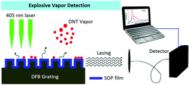 Graphical abstract: Structure dependence of lasing action in organic polymer films on DFB gratings for dinitrotoluene vapor detection