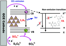 Graphical abstract: Strong electrochemiluminescent interactions between carbon nitride nanosheet–reduced graphene oxide nanohybrids and folic acid, and ultrasensitive sensing for folic acid