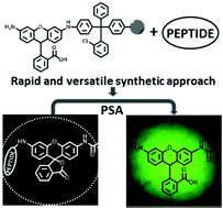 Graphical abstract: Solid-phase synthesis of Rhodamine-110 fluorogenic substrates and their application in forensic analysis