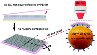 Graphical abstract: A flexible transparent Ag-NC@PE film as a cut-and-paste SERS substrate for rapid in situ detection of organic pollutants