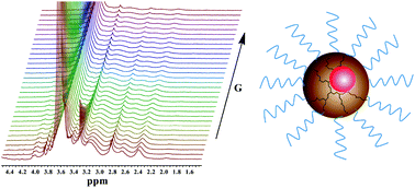 Graphical abstract: Structural characterization of PEGylated polyethylenimine-entrapped gold nanoparticles: an NMR study