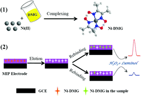 Graphical abstract: A molecularly imprinted electrochemiluminescence sensor based on the mimetic enzyme catalytic effect for ultra-trace Ni2+ determination