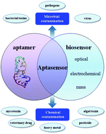 Graphical abstract: Advances in aptasensors for the detection of food contaminants