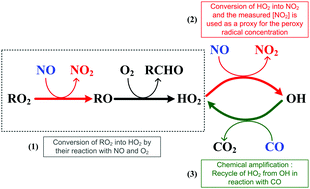 Graphical abstract: Ultra-sensitive measurement of peroxy radicals by chemical amplification broadband cavity-enhanced spectroscopy