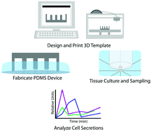 Graphical abstract: Macro-to-micro interfacing to microfluidic channels using 3D-printed templates: application to time-resolved secretion sampling of endocrine tissue