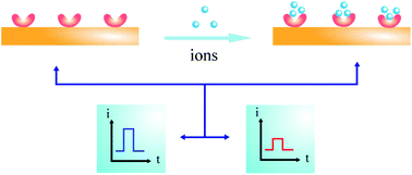 Graphical abstract: Photoelectrochemical detection of metal ions