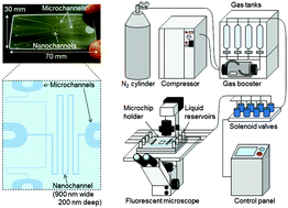 Graphical abstract: Femtoliter high-performance liquid chromatography using extended-nano channels