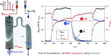 Graphical abstract: Continuous and simultaneous measurement of the biophysical properties of blood in a microfluidic environment