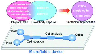 Graphical abstract: Microfluidic technologies in cell isolation and analysis for biomedical applications