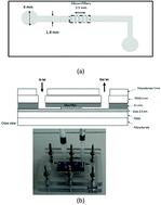 Graphical abstract: A novel miniaturized biofilter based on silicon micropillars for nucleic acid extraction