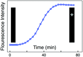 Graphical abstract: A NASBA on microgel-tethered molecular-beacon microarray for real-time microbial molecular diagnostics